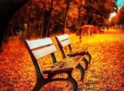 Echinocţiu de toamnă 2017. Când are loc, ce înseamnă şi cum ne afectează!