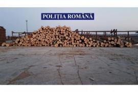 Un polițist arădean a furat toate cele 22 de tone de lemne destinate încălzirii Postului de Poliție