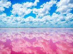 Cea mai frumoasă plajă ROZ din lume! Specialiştii confirmă că totul este REAL - GALERIE FOTO