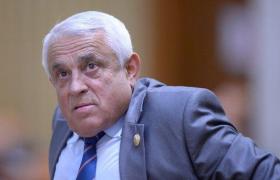 Petre Daea, despre oaie: Acest animal care ne străbate istoria ca un fir roşu