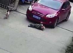 TRAGEDIE LA PETRECERE. O fetiță de un an a fost CĂLCATĂ cu mașina de mama sa! Femeia era BEATĂ în momentul accidentului!