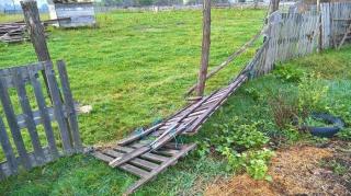 Terorizați de un URS! Localnicii unui sat din Sibiu cer disperați ajutor, după ce un urs le omoară animalele și le distruge gospodăriile (VIDEO)