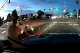 Cea mai norocoasă zi din viaţa unui căţeluş abandonat: cum a păcălit moartea