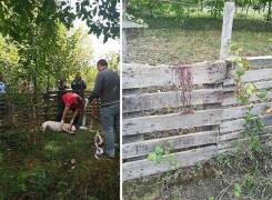 Crimă ORIBILĂ în Arad: 'Bella a murit în chinuri! Nu mă las până nu va face puşcărie' - GALERIE FOTO