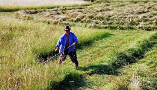 Intervenție de urgență a elicopterului SMURD la Botoșani, după ce un bărbat aproape și-a retezat piciorul cu coasa