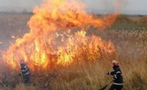 Aproximativ 205 hectare de vegetaţie uscată, afectate de un incendiu în Tulcea