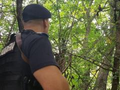 Tot mai multe cazuri de URŞI găsiţi în gospodării! Un pui de urs a stat cocoţat într-un copac în curtea unor oameni, timp de două ore!