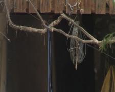 Nenorocire la Râmnicu Vâlcea. Un fost poliţist s-a spânzurat în şopron, în timp ce soţia sa făcea curăţenie în casă. Trăia o dramă fantastică, după ce a lovit doi oameni cu maşina