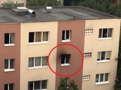 SECRETUL unei bătrâne din Cluj. Comoară URIAŞĂ, în valoare de MILIOANE de EURO, ţinută într-un apartament vechi. N-a ştiut nimeni, până n-a luat casa foc