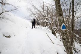 Bătrân căzut într-o prăpastie în masivul Piatra Craiului! Echipe de jandarmi şi poliţişti au intervenit de urgenţă