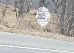 Un tânăr din Argeș s-a spânzurat în public, după ce și-a jucat toată averea la păcănele