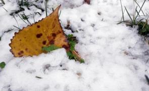 Cod galben de ninsori în Bulgaria. Avertisment de călătorie MAE