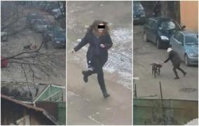 Scene şocante în centrul Iaşului! Doi câini boxeri atacă o fată de 22 ani, muşcă un tânăr în zona inghinală, iar pe tatăl lui îl apucă de mâini (Video)