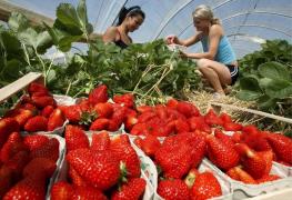 Locuri de muncă Spania 2018. Românii sunt ofertaţi cu salarii de 1.800 de euro