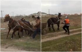 Scene oribile în Galaţi! Mai mulţi indivizi îşi bat joc de trei cai, reproducând un joc marinăresc. Biciuiesc animalele şi le lovesc fără milă (Video)