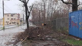 Vremea în Constanţa 18 ianuarie. Vezi prognoza meteo