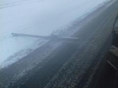 Vremea Constanţa: Copaci smulşi şi panouri publicitare distruse de vânt