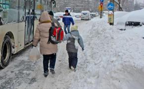 Zeci de şcoli închise, din cauza zăpezilor. Elevii din cinci judeţe stau acasă