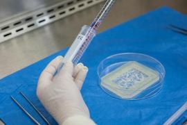 Descoperirea care poate revoluţiona medicina: un simplu test al sângelui pentru identificarea a opt forme de cancer incipient