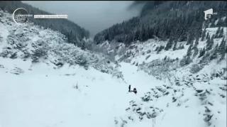 Pericol de avalanşă în Munţii Bucegi şi Făgăraş, în urma ninsorilor