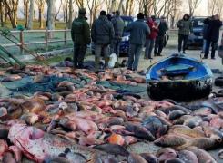 Trei români au şocat Italia după ce au golit de peşte un lac situat într-o arie protejată (Foto)