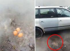 Ouă fierte într-o groapă din mijlocul unei intersecții aglomerate din Rădăuți (Video)