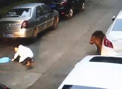 Un porc mistreț a atacat oamenii pe stradă și apoi a intrat într-un magazin unde a făcut ravagii (Video)