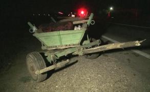 Patru copii, cel mai mic de patru ani, victime ale unui accident între o căruţă şi un autoturism, la Râmnicu Sărat