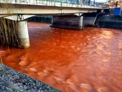 Fenomen îngrijorător la Baia Mare! Apa râului Săsar a devenit 'sângerie' (Foto)