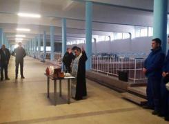 Apă sfinţită la robinet pentru credincioşii din Prahova. Un preot a sfinţit uzina de apă pentru a scăpa de îmbulzeală (Foto)