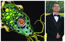 Tânăr ucis de un parazit care se hrănește cu creier uman. Ar fi luat bacteria dintr-o piscină (Video)