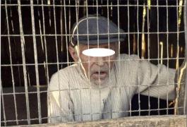 Un gospodar din Vaslui și-a prins vecinul în cotețul scroafei. Șocat de priveliște, l-a încuiat înăuntru și a chemat poliția