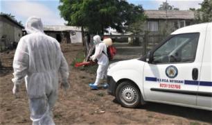 Suspiciune de antrax în Botoşani. Ce au descoperit medicii veterinari, după ce au făcut necropsia unui viţel găsit mort pe câmp