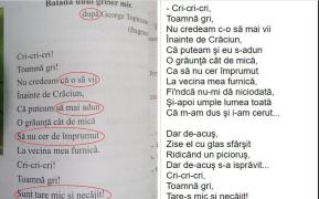 Poezia "Balada unui greier mic” de George Topârceanu, masacrată într-un manual de limba română pentru clasa II-a