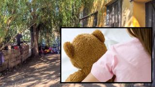 Fetiţa de 4 ani a unor români, abuzată sălbatic în Ungaria. Detalii şoc de la anchetatori, care au trei suspecţi surpriză