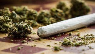 Canada a legalizat consumul de marijuana, în scop recreativ