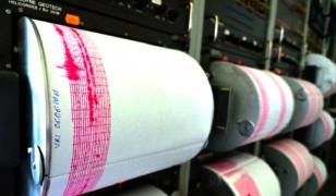 Directorul Observatorului Seismologic Vrancea: 'Un cutremur major se poate produce oricând'
