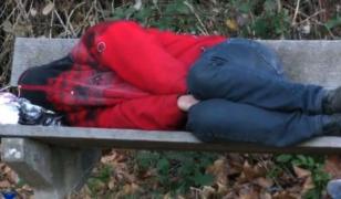 Român din Germania, obligat de patron să doarmă într-o pădure timp de trei săptămâni