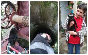 O pisicuţă căzută într-o fântână la Buteni, în Arad, a fost salvată după aproape o oră de pompieri