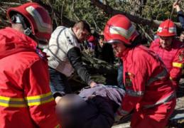 Copac prăbuşit peste o femeie la Craiova
