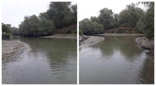 Situaţie alarmantă în Delta Dunării după ce nivelul apei a scăzut brusc