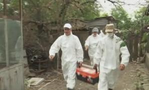 Veterinari intervin în caz de pestă porcină