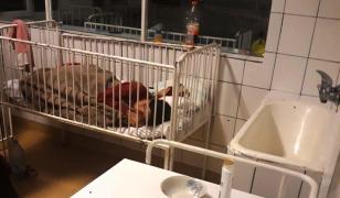 Copii îngrijiţi printre gândaci şi mizerie la Pediatria spitalului din Craiova (Video)