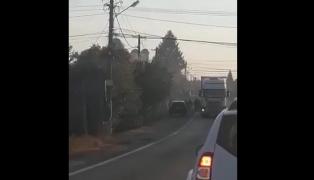 Un şofer de TIR a fost bătut cu biciul pe marginea şoselei, la Viişoara, în Dâmboviţa (video)