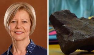 O profesoară româncă la Universitatea din Michigan, descoperire istorică în curtea unei case