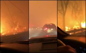 Incendiile fac ravagii în California, cel puțin 5 oameni au murit