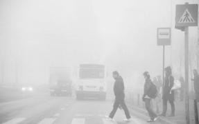 Ceaţa în jumătate de ţară