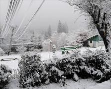 Ninge ca-n poveşti la munte, temperaturile au scăzut până aproape de pragul de îngheţ (Video)