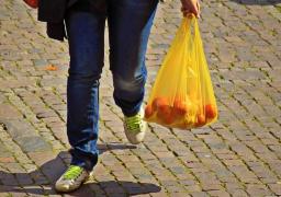 Pungi de plastic pentru intrarea la Muzeul Antipa