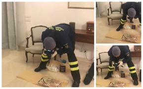 Primele imagini cu tabloul de Picasso dezgropat în Tulcea (Video)